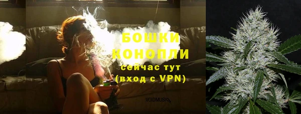 мдпв Новозыбков