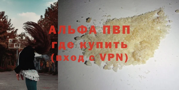 мдпв Новозыбков