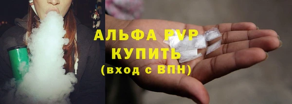 мдпв Новозыбков