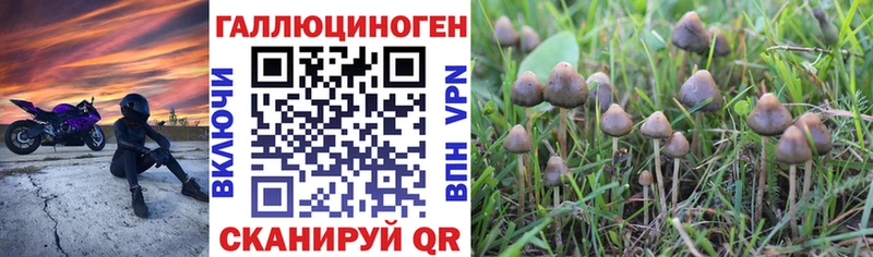 Галлюциногенные грибы мицелий  купить наркотик  Калининец 